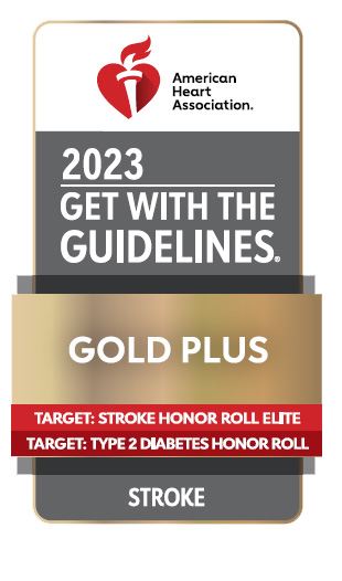 GWTG 2023 Stroke Gold logo