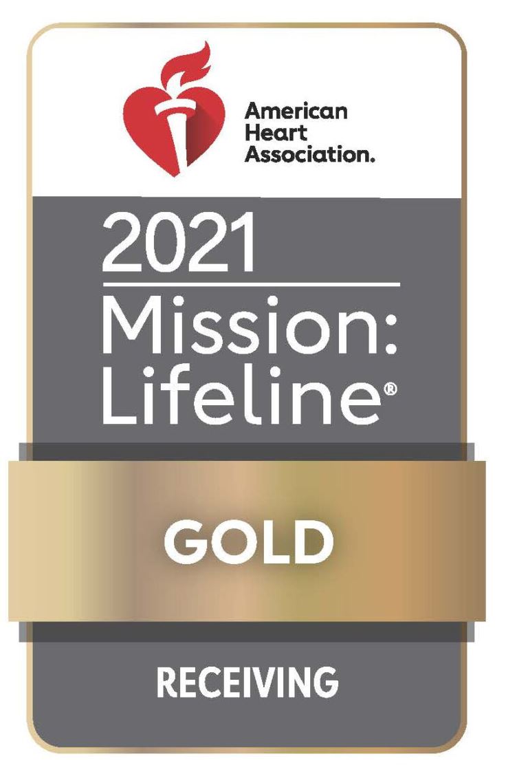 Mission Lifeline Award Gold 2021 logo